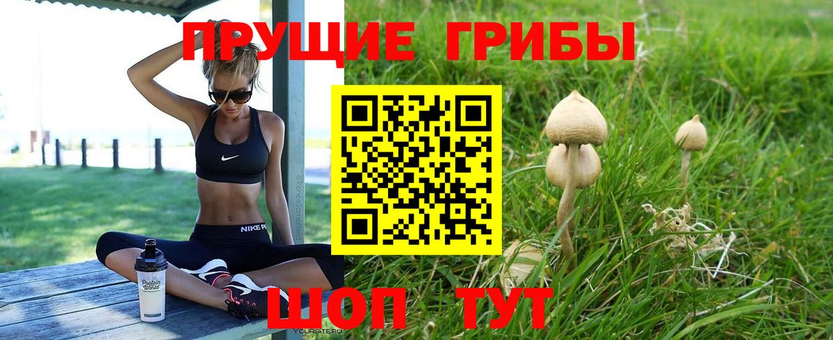 Псилоцибиновые грибы мухоморы Электрогорск